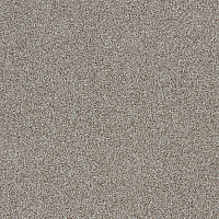 Ковровая плитка Interface Level Up 4267011 Grain фото 1 | FLOORDEALER